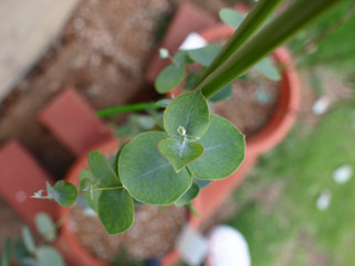 090713001.jpg