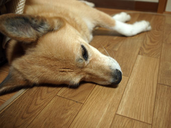 09072101.jpg